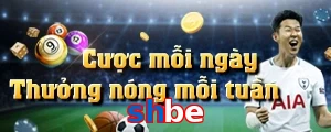 shbe